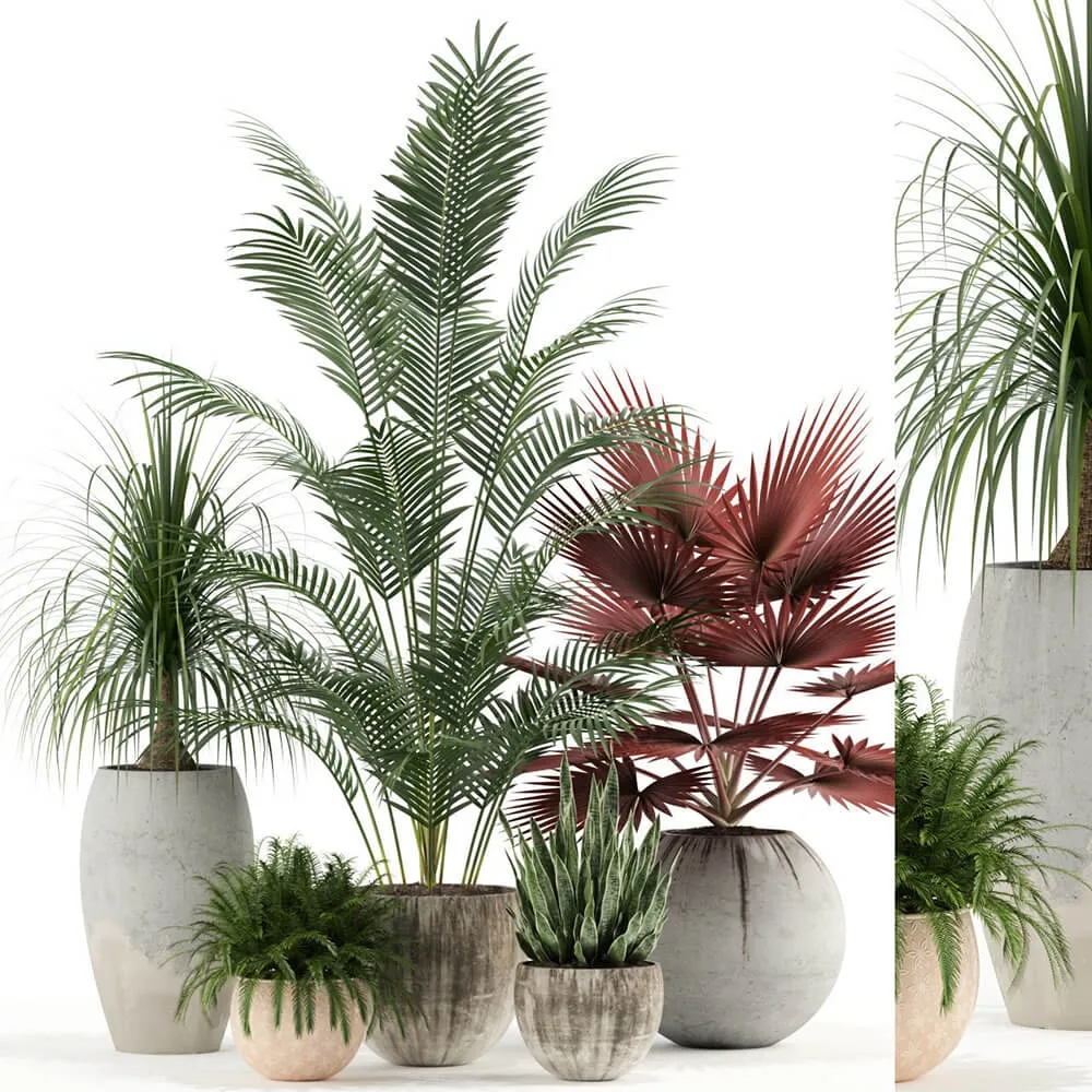 decoration - Plants collection 122 3D Model