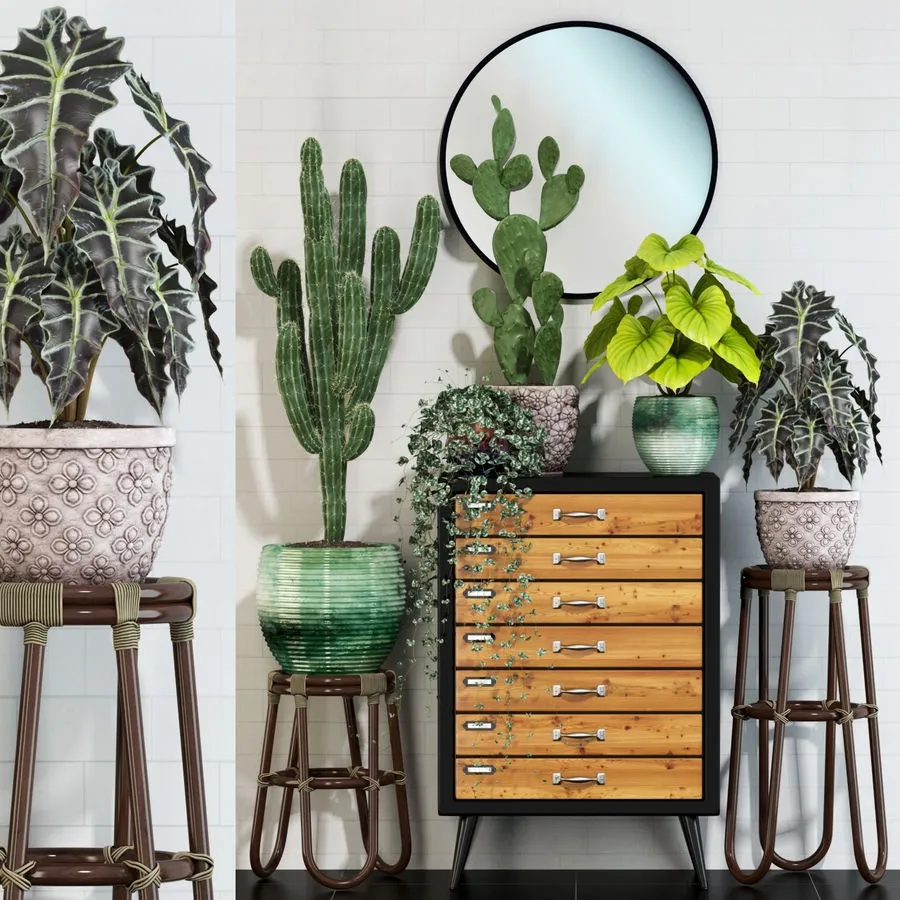 decoration - Plants collection 123 3D Model