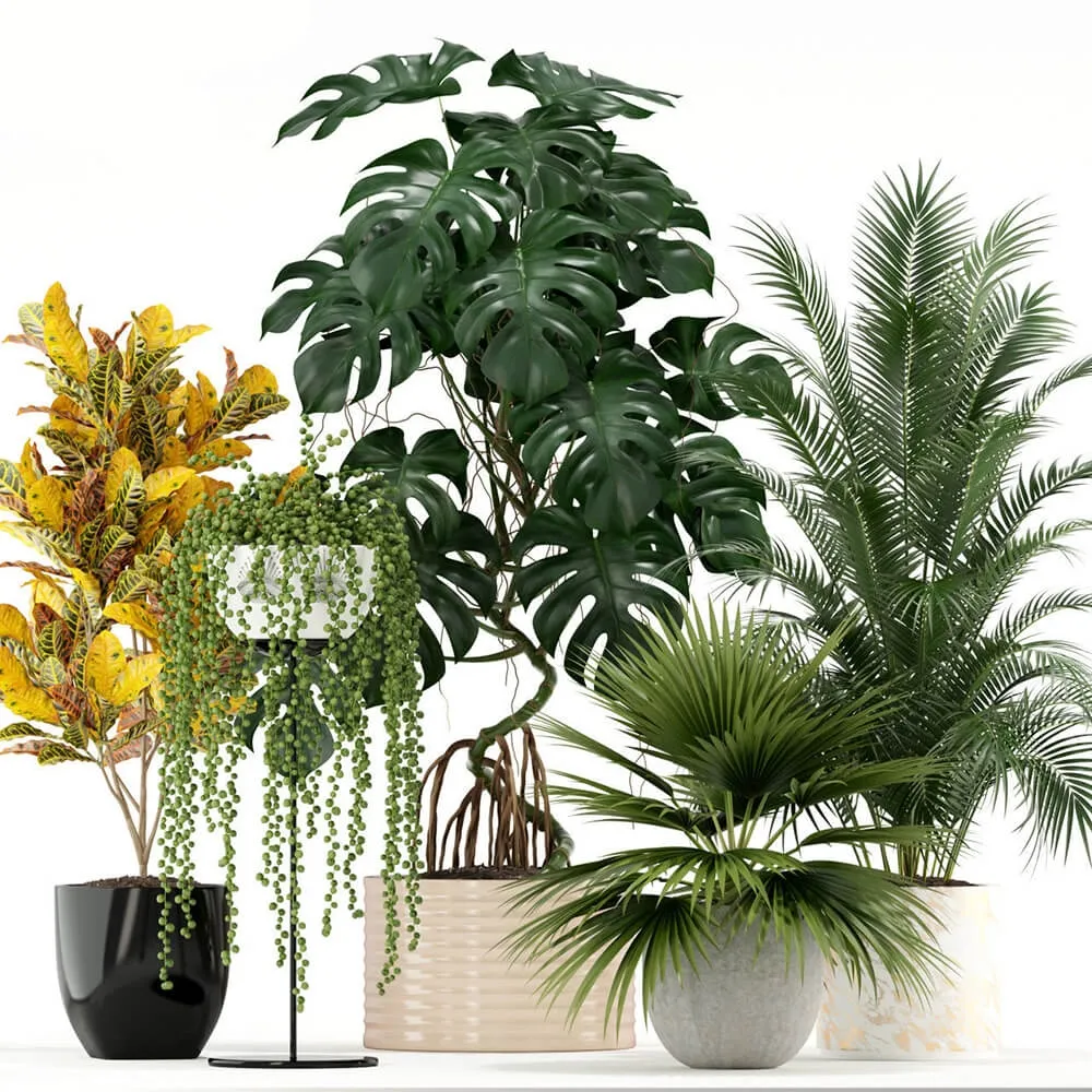 decoration - Plants collection 124 3D Model
