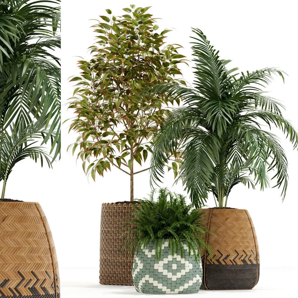 decoration - Plants collection 126 3D Model