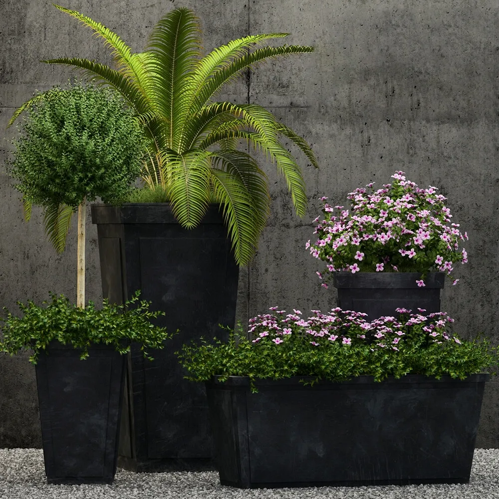 decoration - Plants collection 177 3D Model