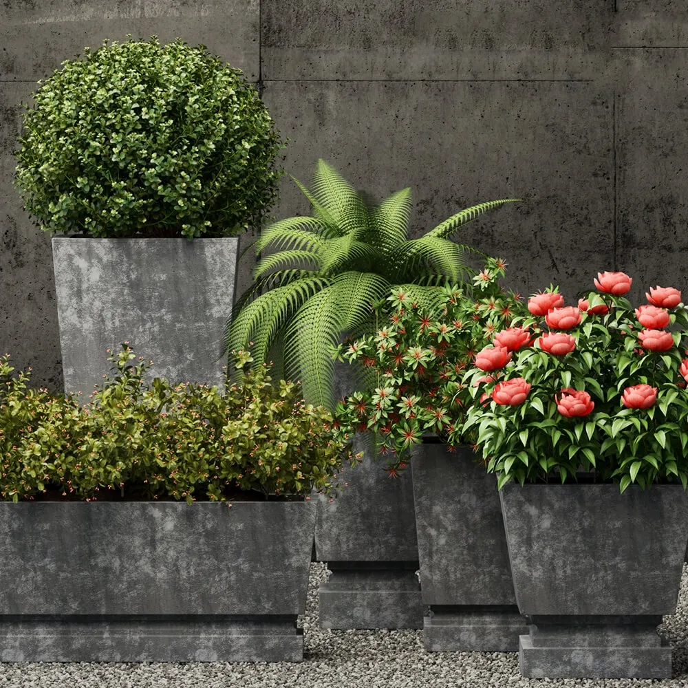 decoration - Plants collection 211 3D Model