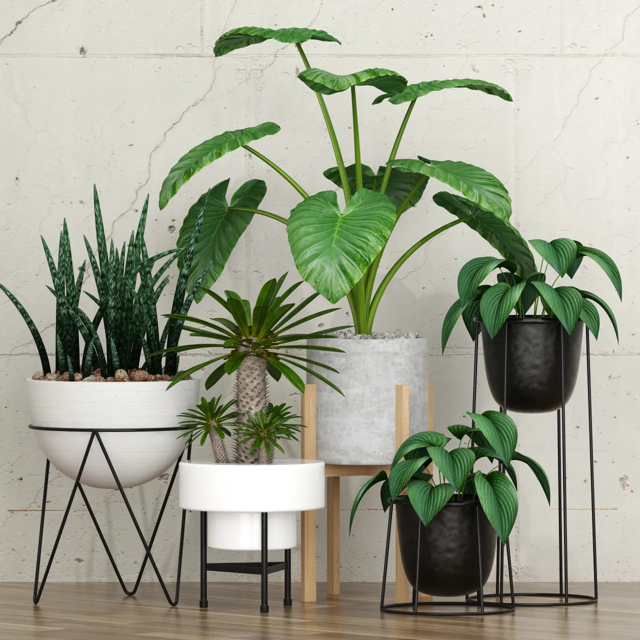 decoration - Plants collection 213 3D Model