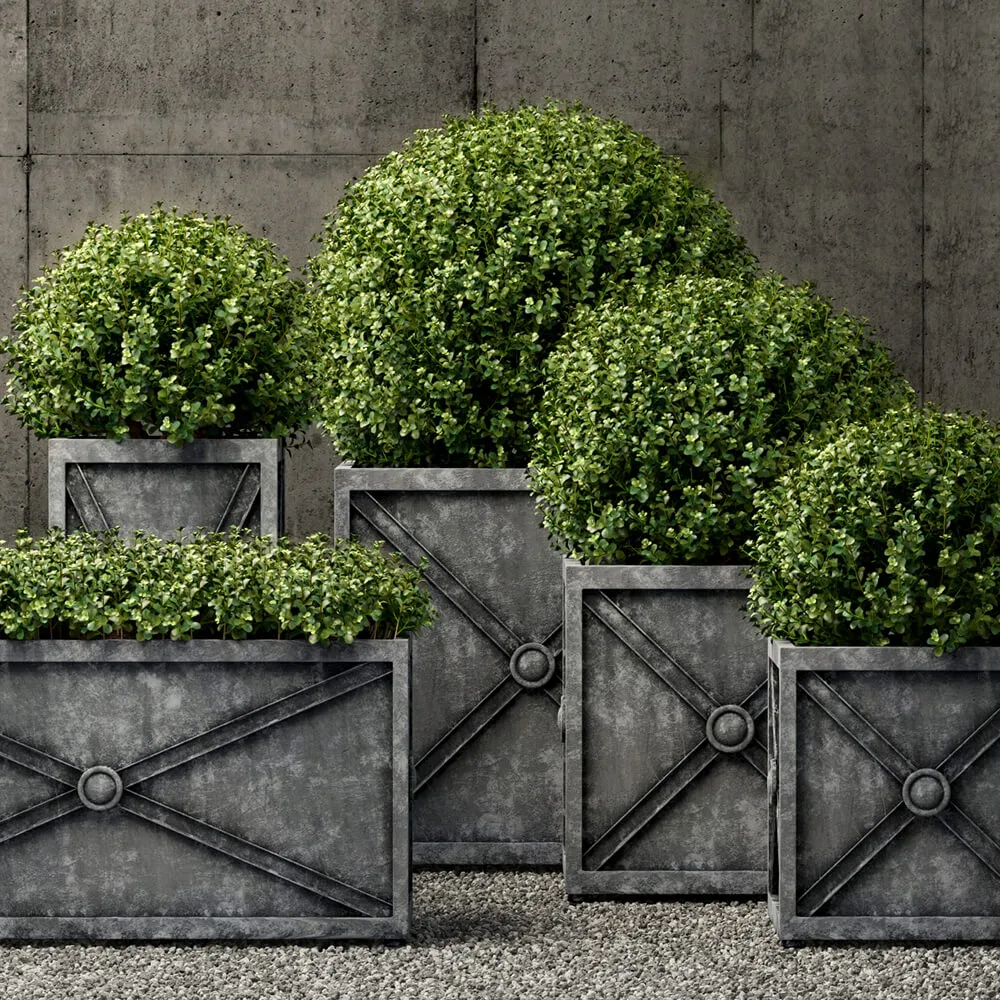 decoration - Plants collection 259 3D Model