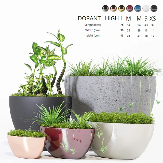 decoration - Plants collection 321 3D Model