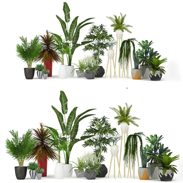 decoration - Plants collection 3D Model