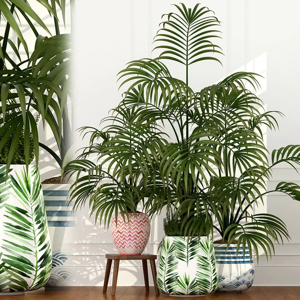 decoration - Plants collection 51 3D Model