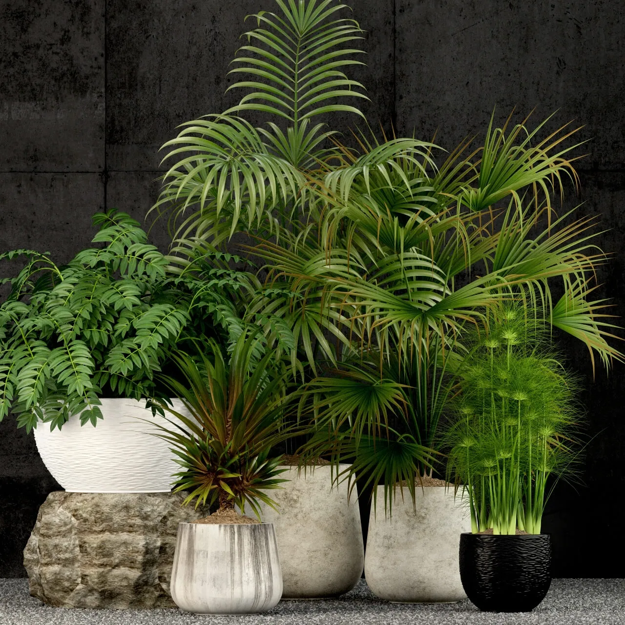 decoration - Plants collection 53 3D Model