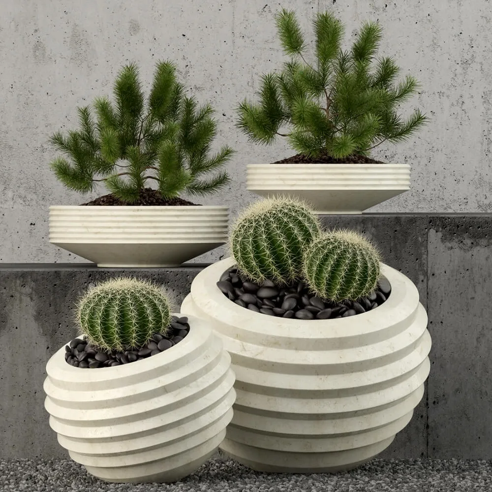 decoration - Plants collection 58 3D Model