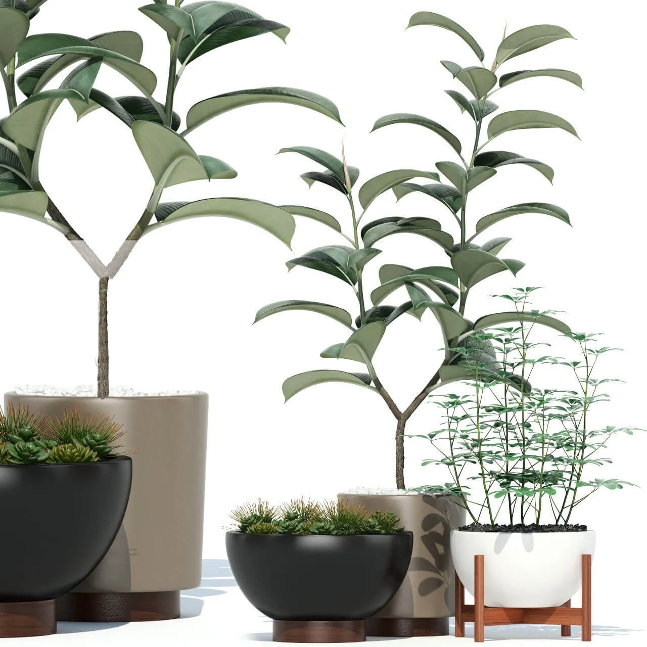 decoration - Plants collection 73 Modernica pots 3D Model