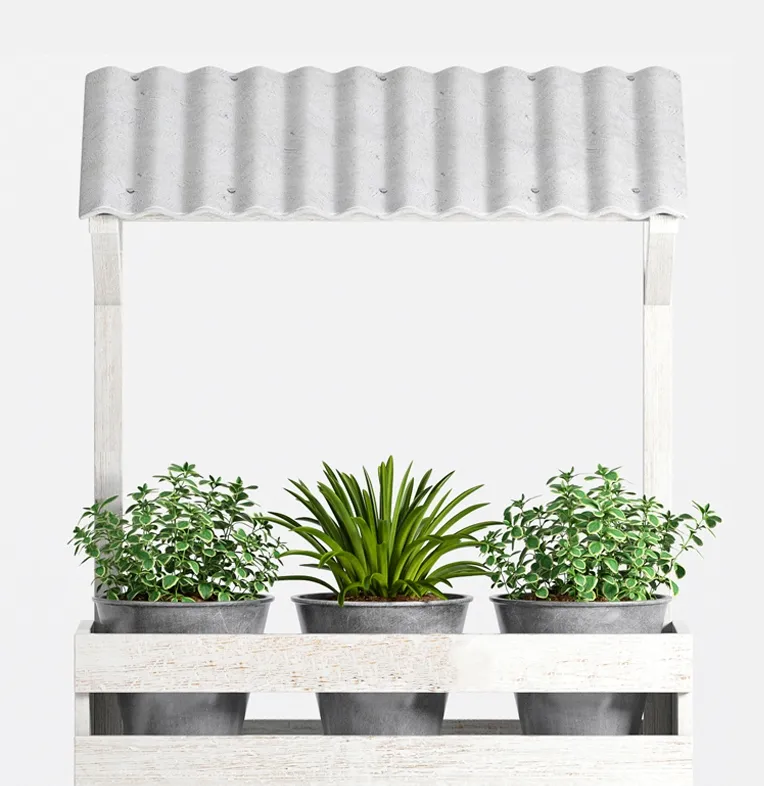 decoration - Plants collection 885 3D Model