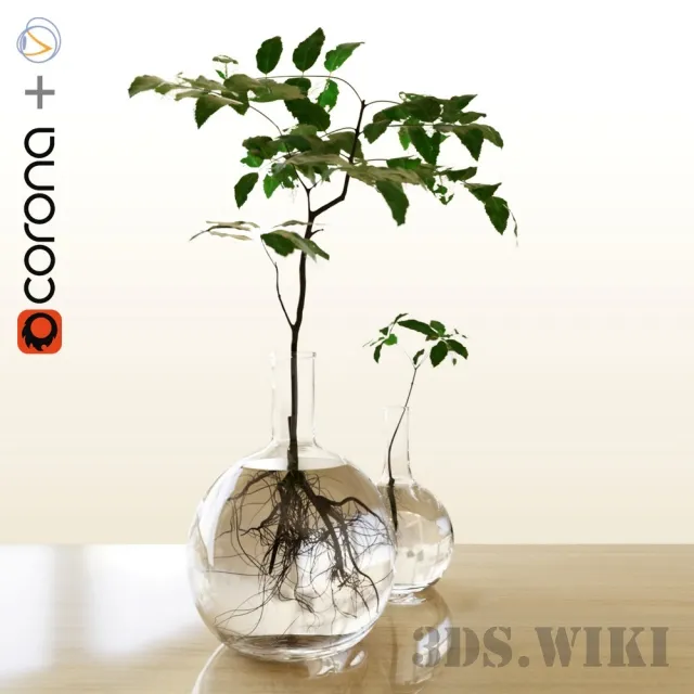 decoration - Plants in a flask 3D Model