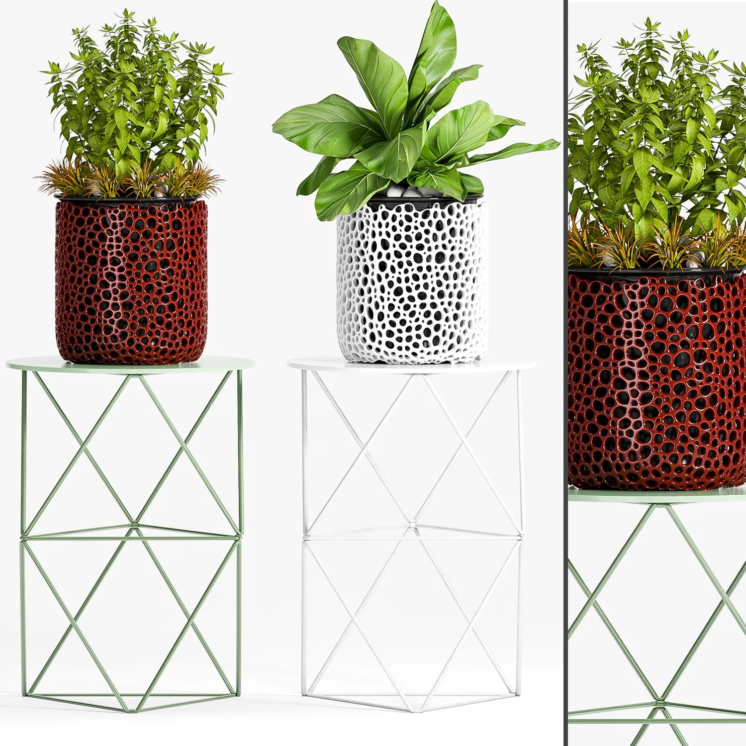 decoration - Plants in decorative pot 5556 3D Model