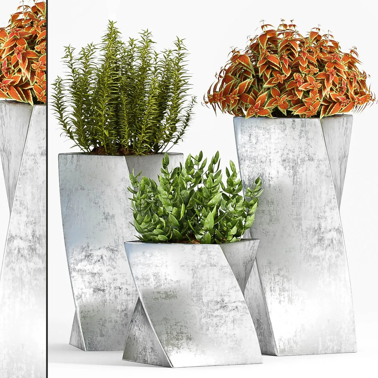 decoration - Plants in decorative pot 556 3D Model