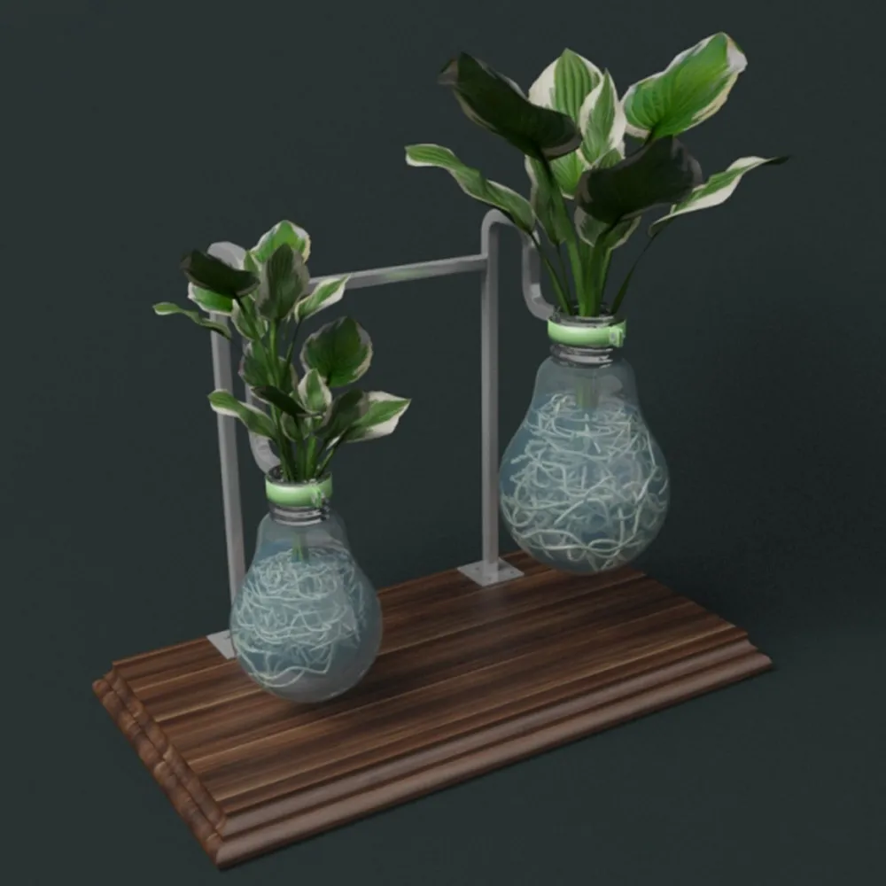 decoration - Plants in flasks 3D Model