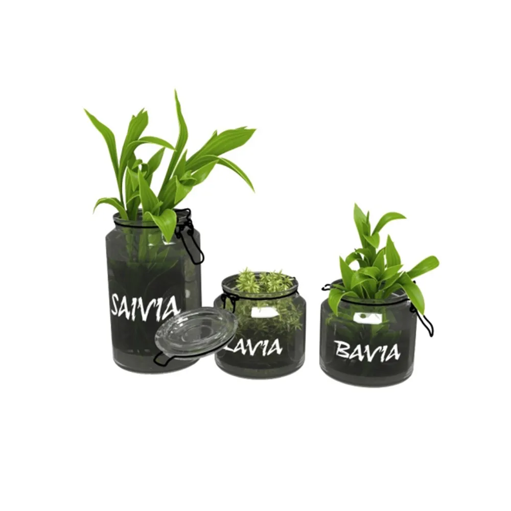 decoration - Plants in jars 3D Model