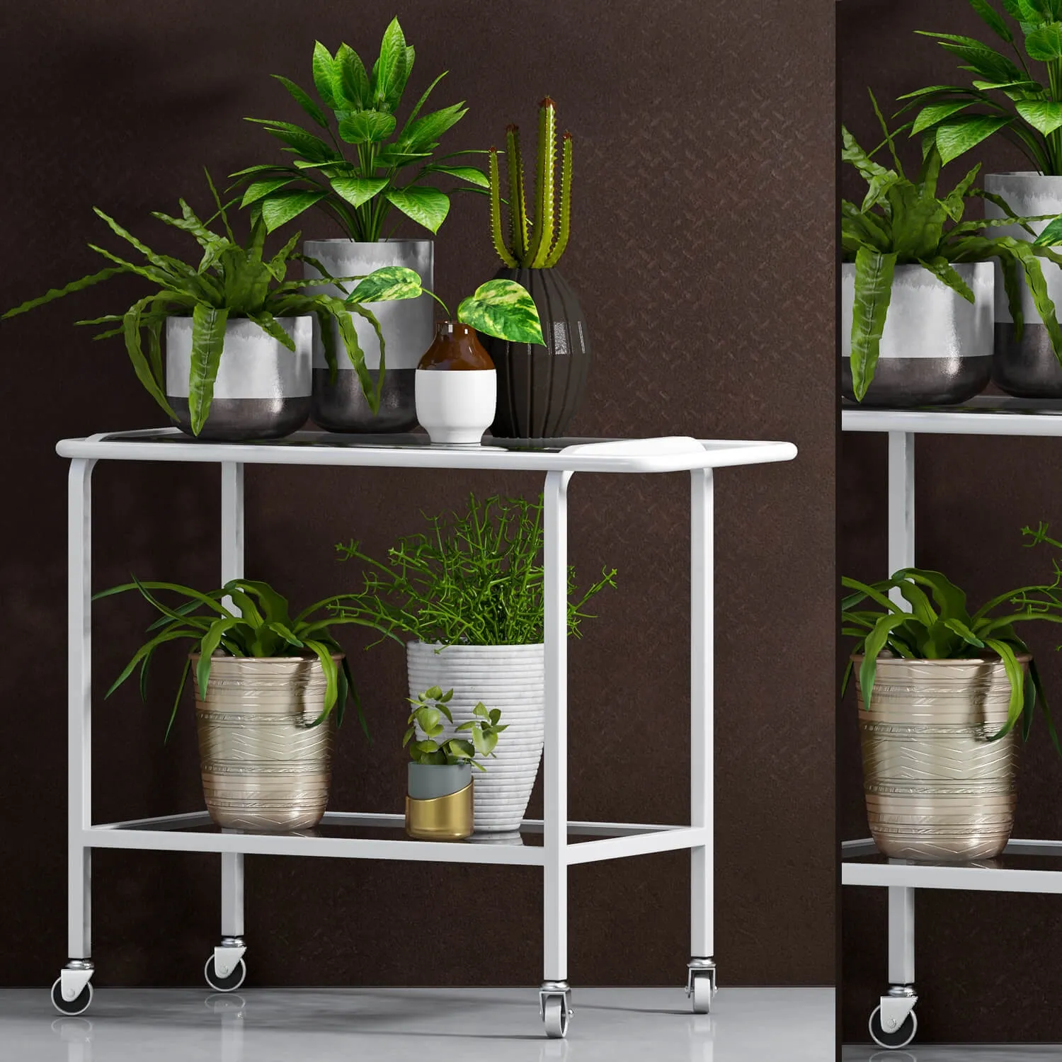 decoration - Plants in pot 5556 3D Model