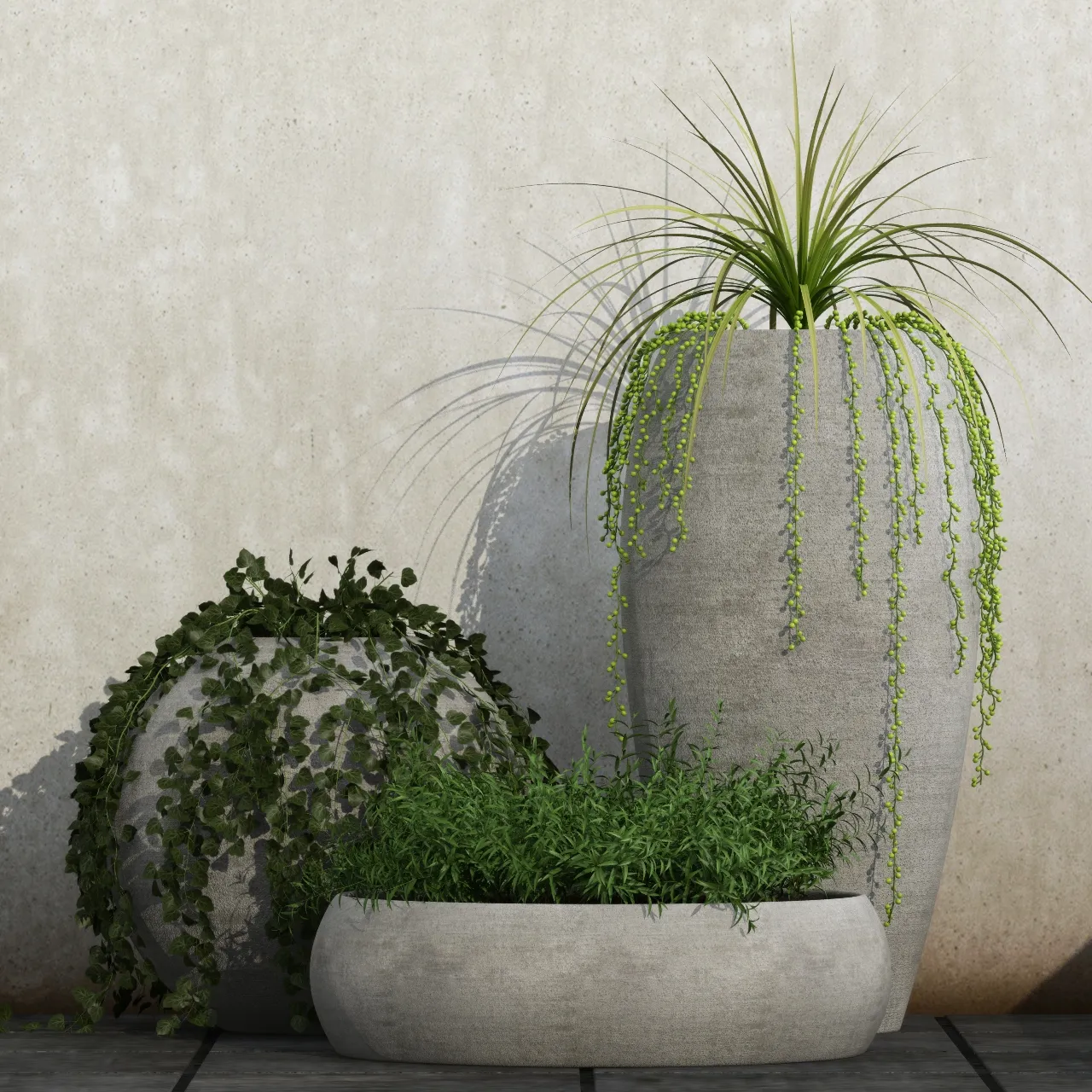 decoration - Plants in pot 557 3D Model