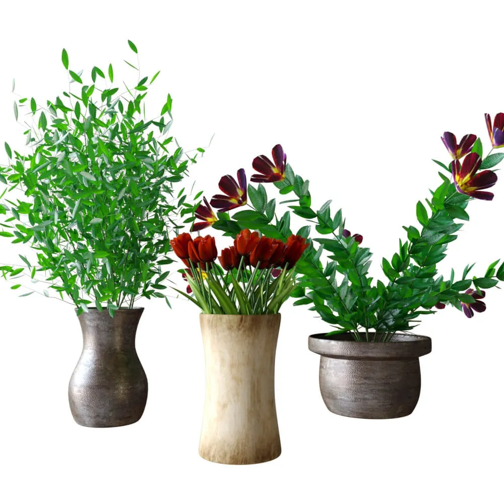 decoration - Plants in pots 023 3D Model
