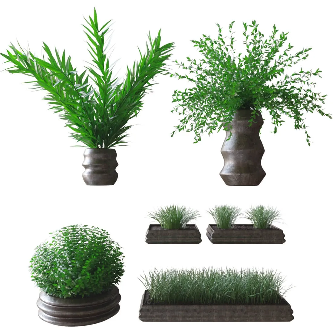 decoration - Plants in pots 3D Model
