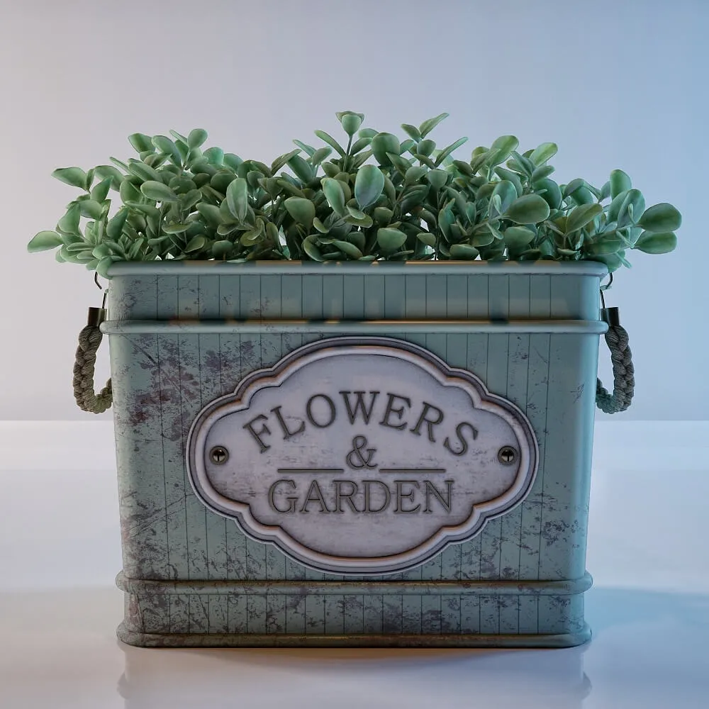 decoration - Plants in the style of Provence 3D Model