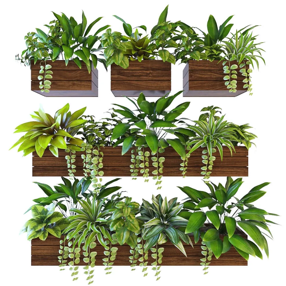 decoration - Plants on the wall 2 3D Model