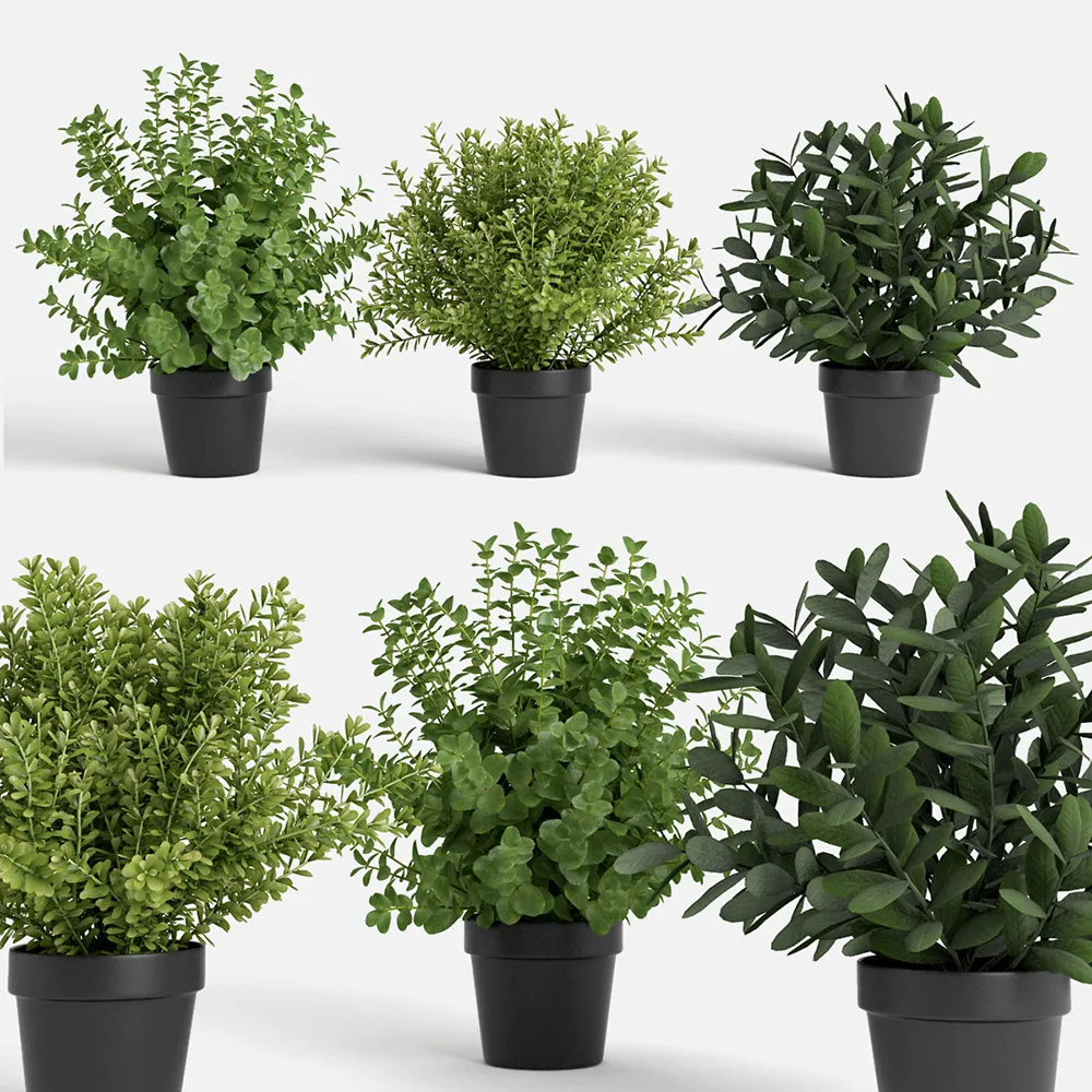 decoration - Plants set 100 3D Model