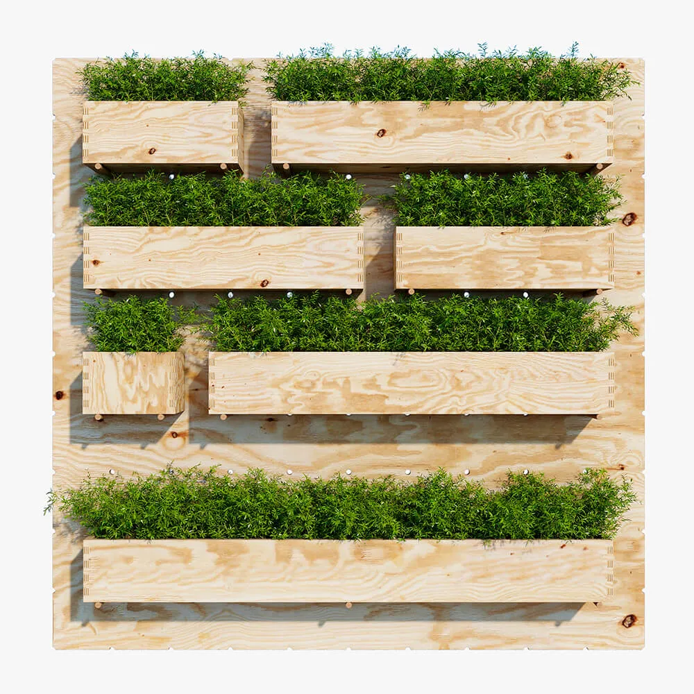 decoration - Plants set 134 3D Model