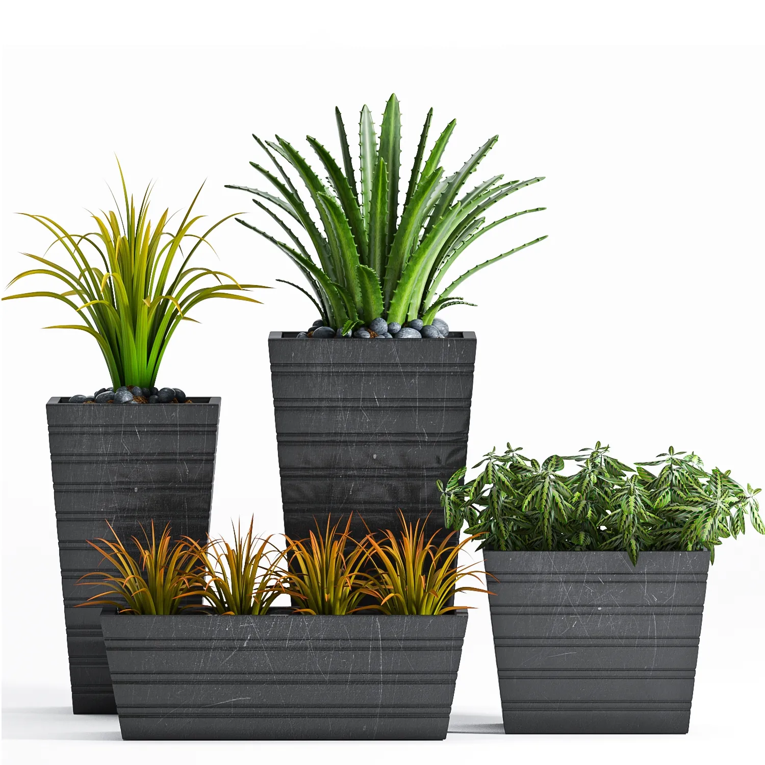 decoration - Plants set 22 3D Model