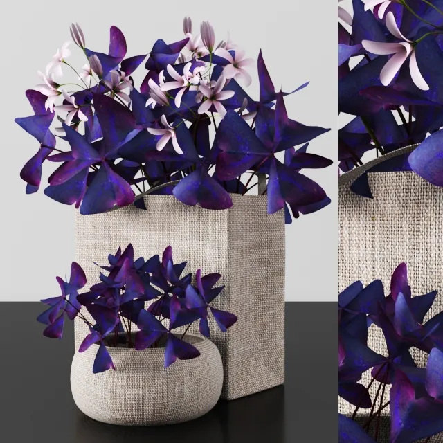 decoration - Plants tree 54 3D Model