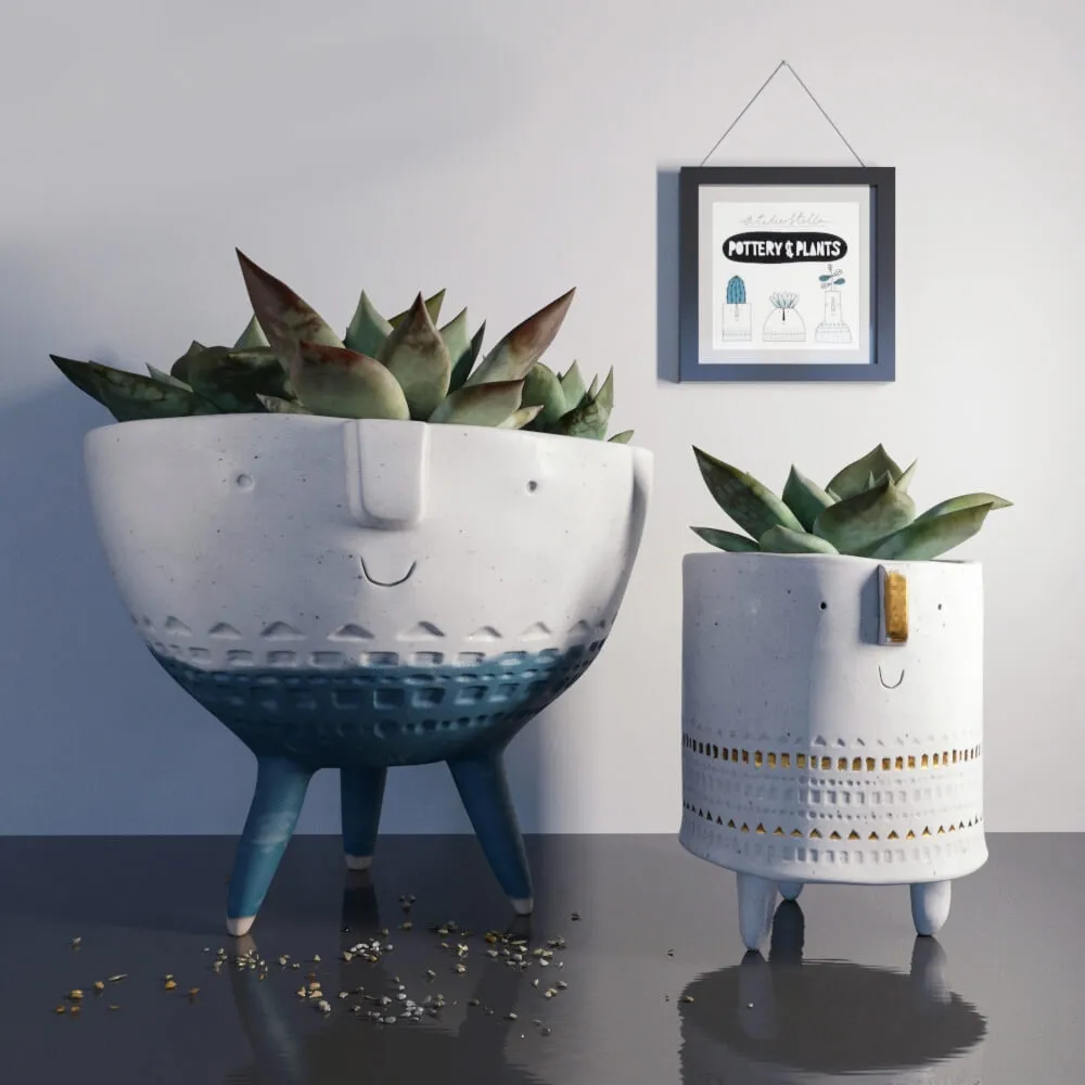 decoration - Pottern and plants 1 3D Model