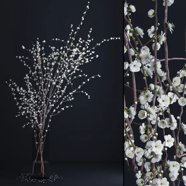 decoration - Prunus White Blossom 3D Model