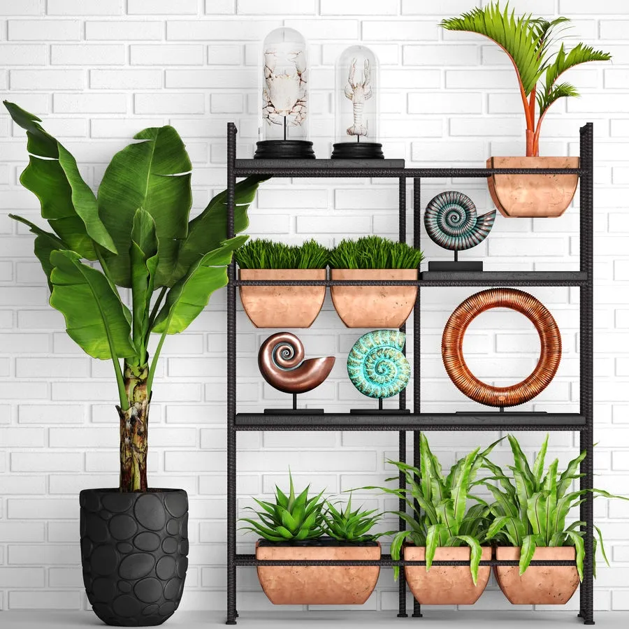 decoration - Rack with plants 3D Model