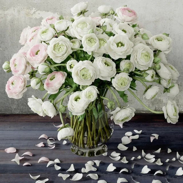 decoration - Ranunculus 2 3D Model