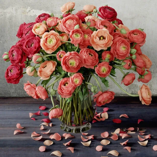 decoration - Ranunculus 3D Model