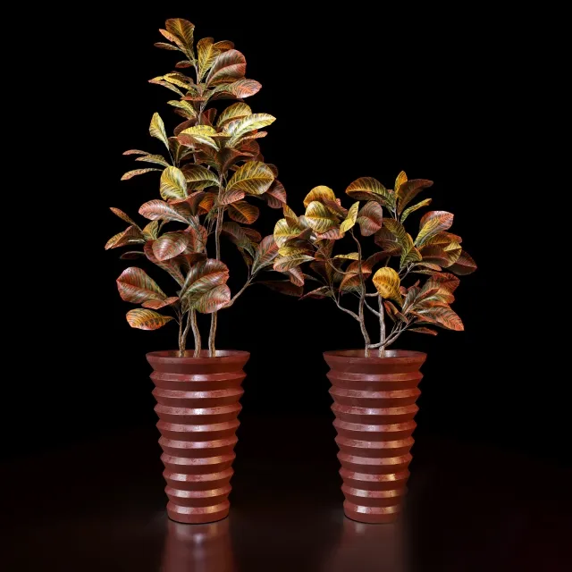 decoration - Red Croton 3D Model