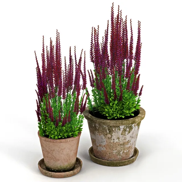 decoration - Red plant 3D Model