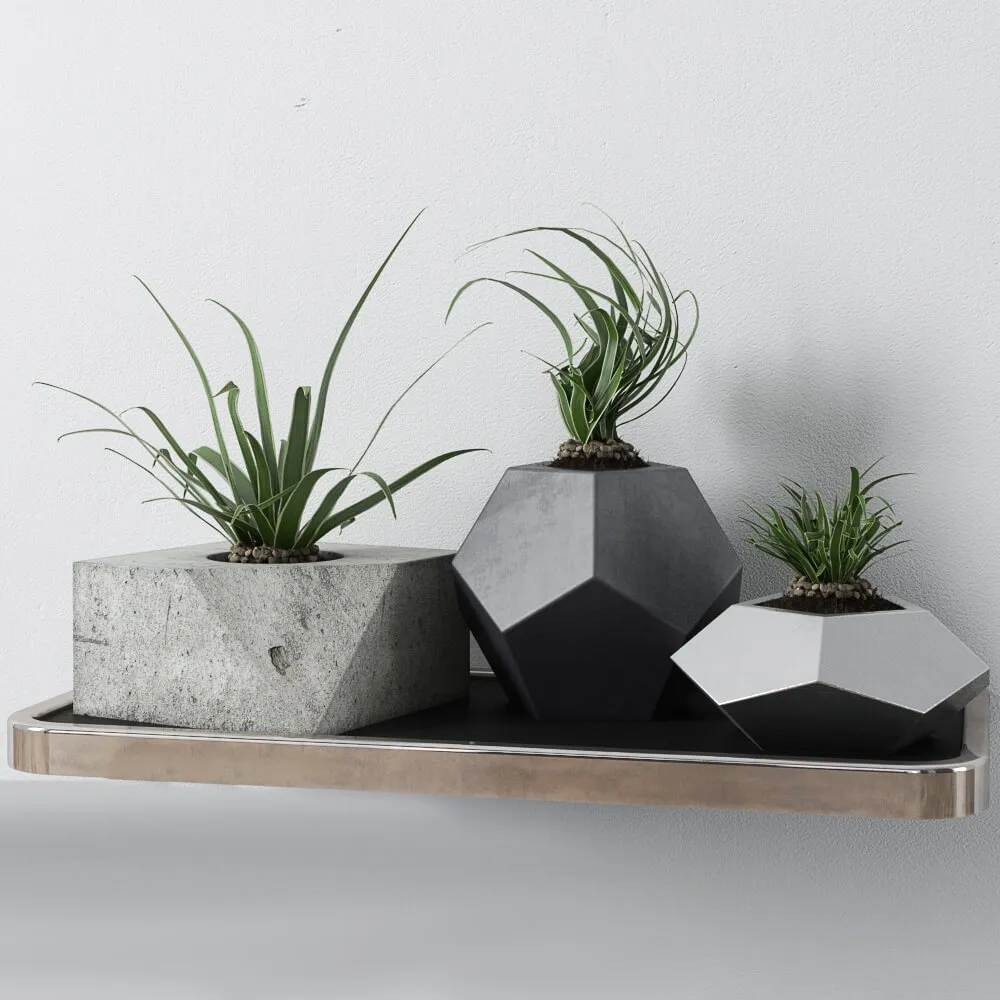 decoration - Redhome plants 3D Model