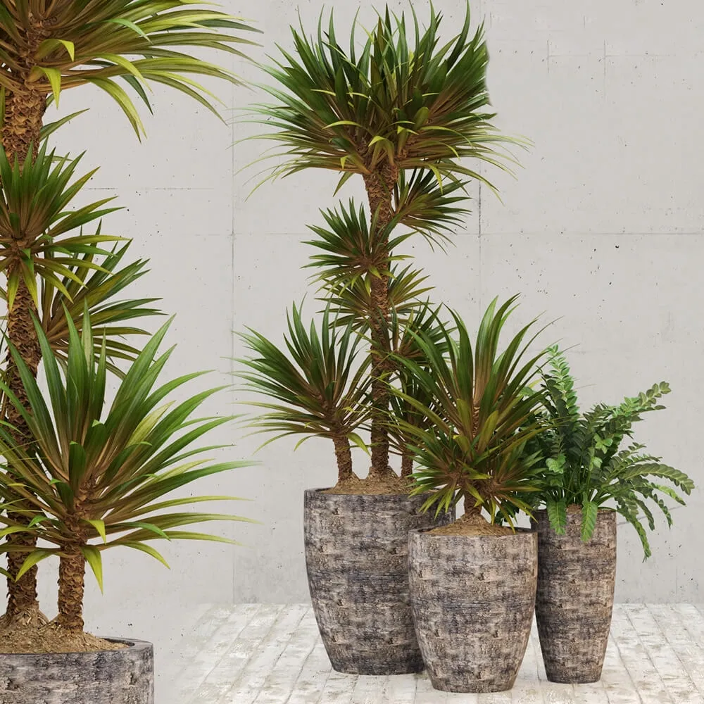 decoration - Restoration Hardware corso planter 3D Model