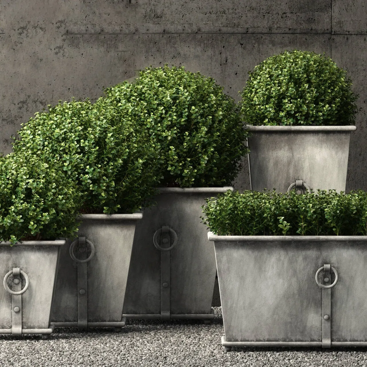 decoration - Restoration Hardware plants 02 3D Model