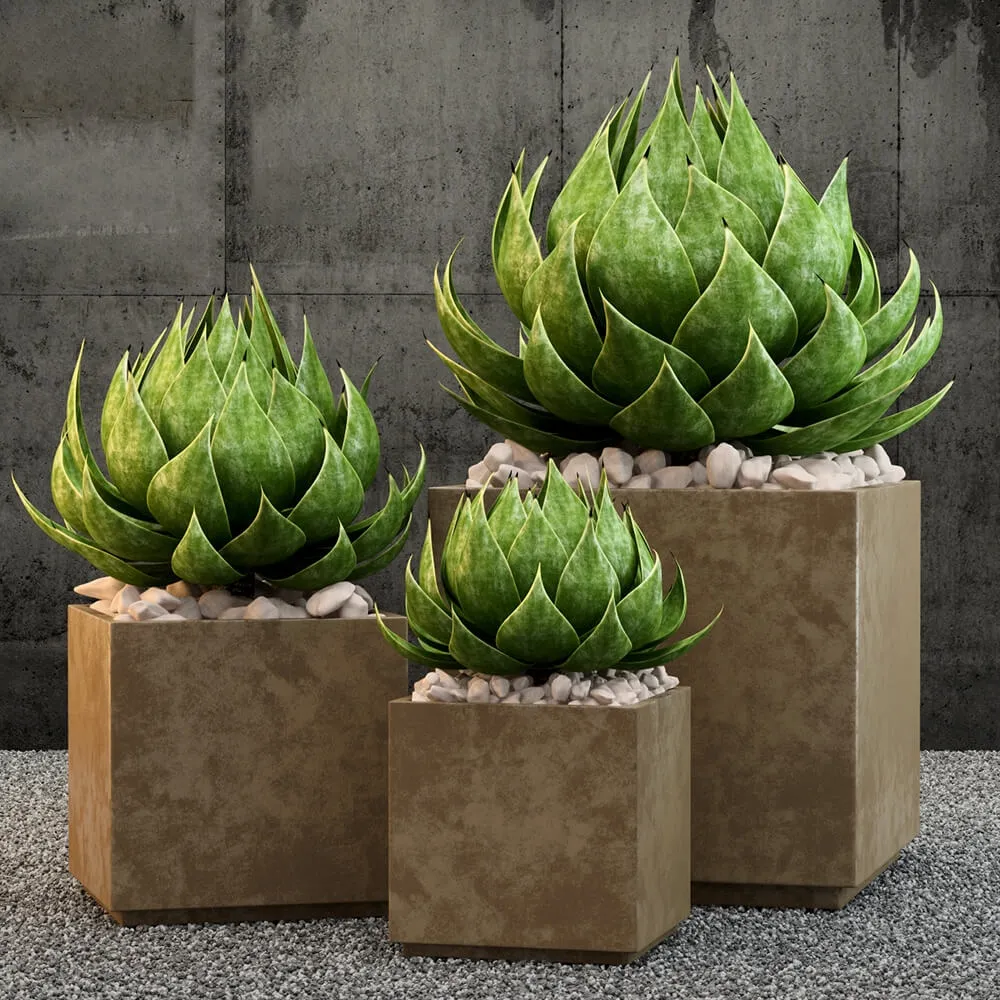 decoration - Restoration Hardware plants 3D Model