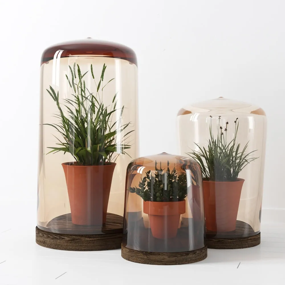 decoration - RH-flower plants 10 3D Model