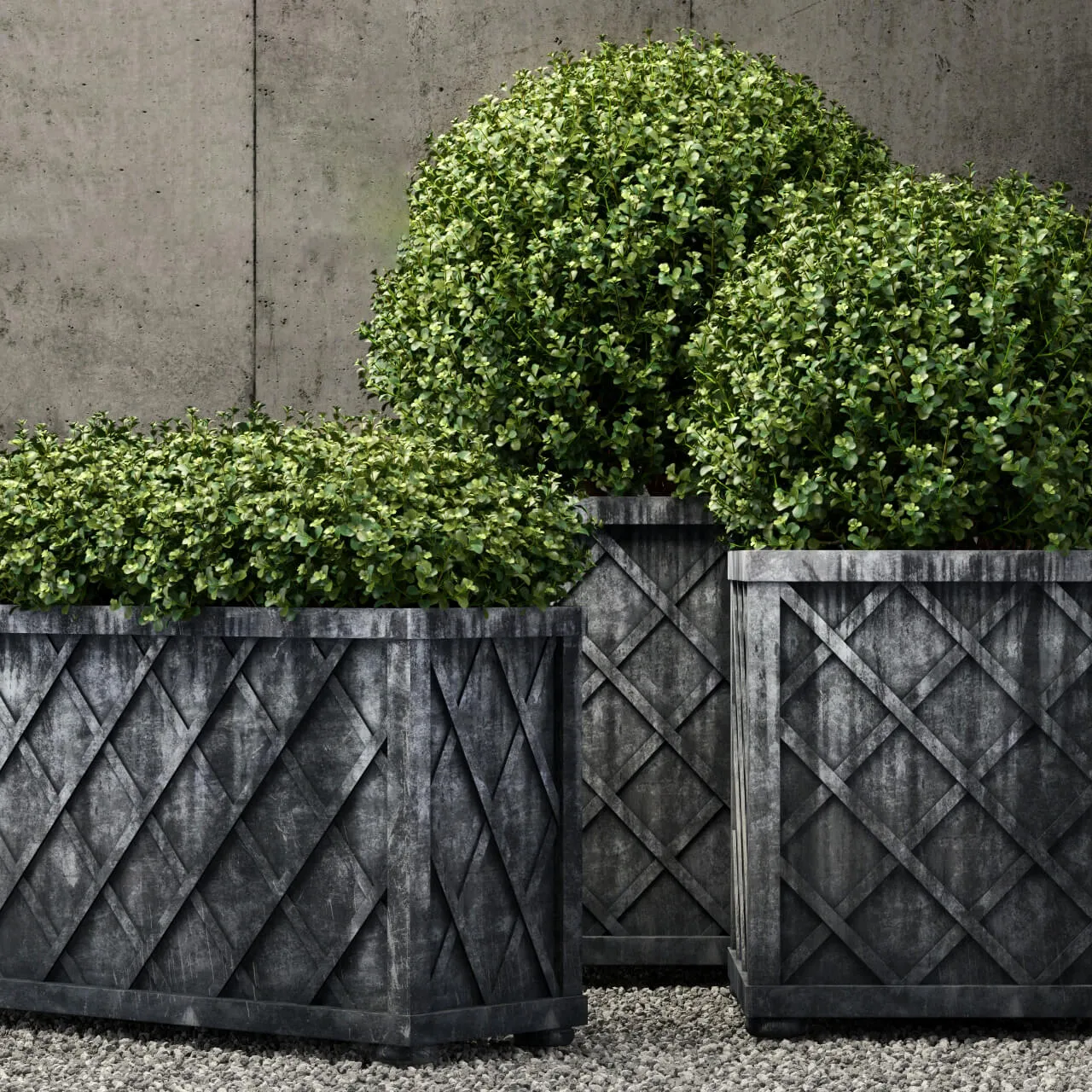 decoration - RH plants collection 46 3D Model