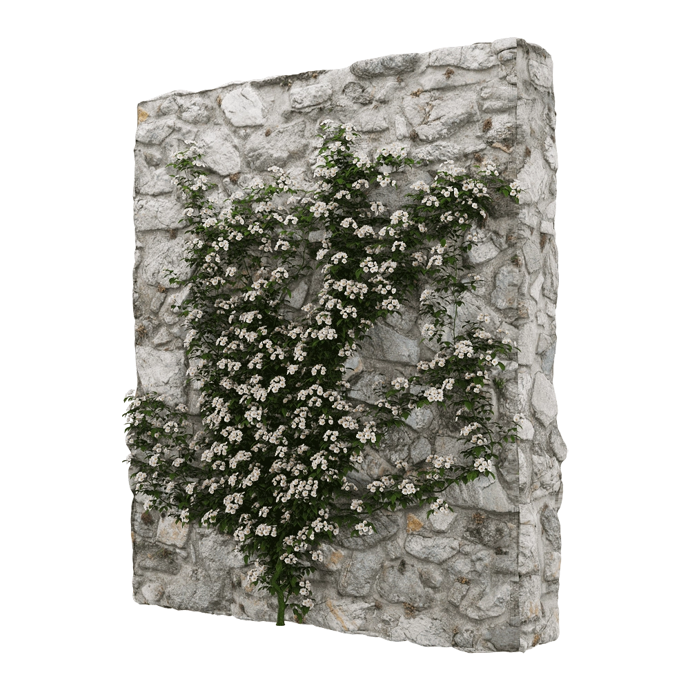 decoration - Rosa cymosa 4 3D Model