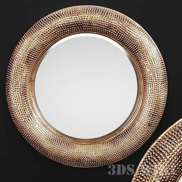 decoration - Round mirror Howard Elliott Raymus 3D Model