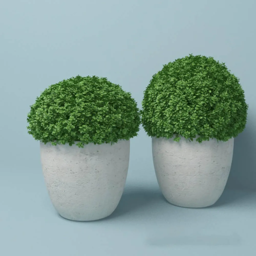 decoration - Round plant in pots 3D Model