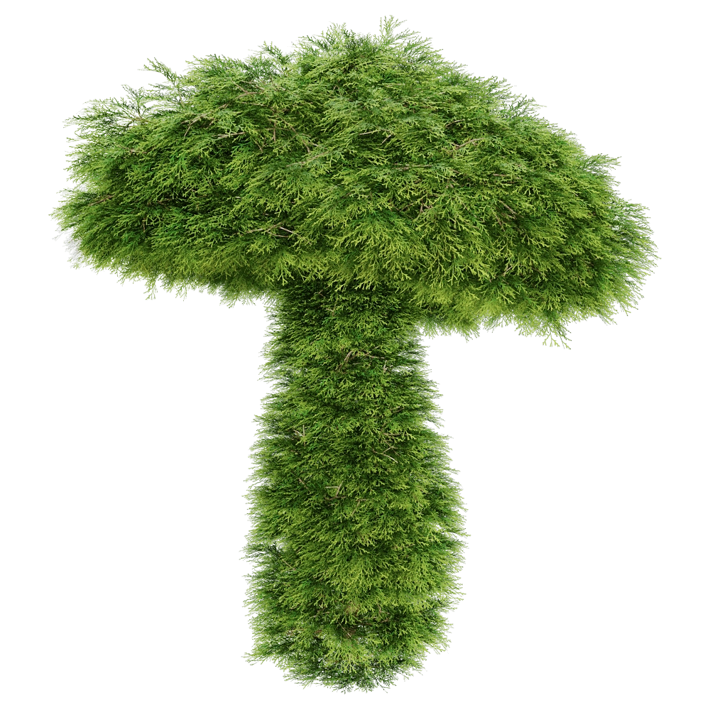 decoration - Sabina Chinensis 01 05 3D Model