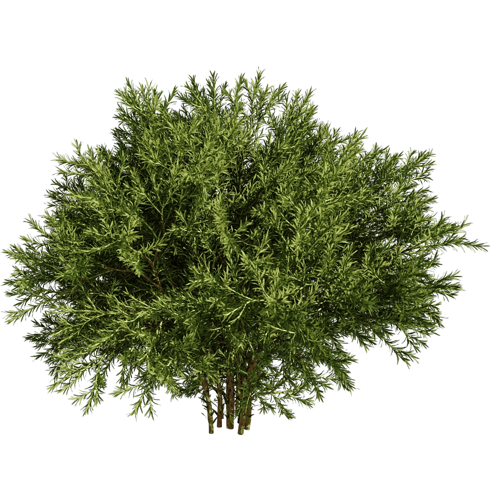 decoration - Sabina Pingii 01 01 3D Model