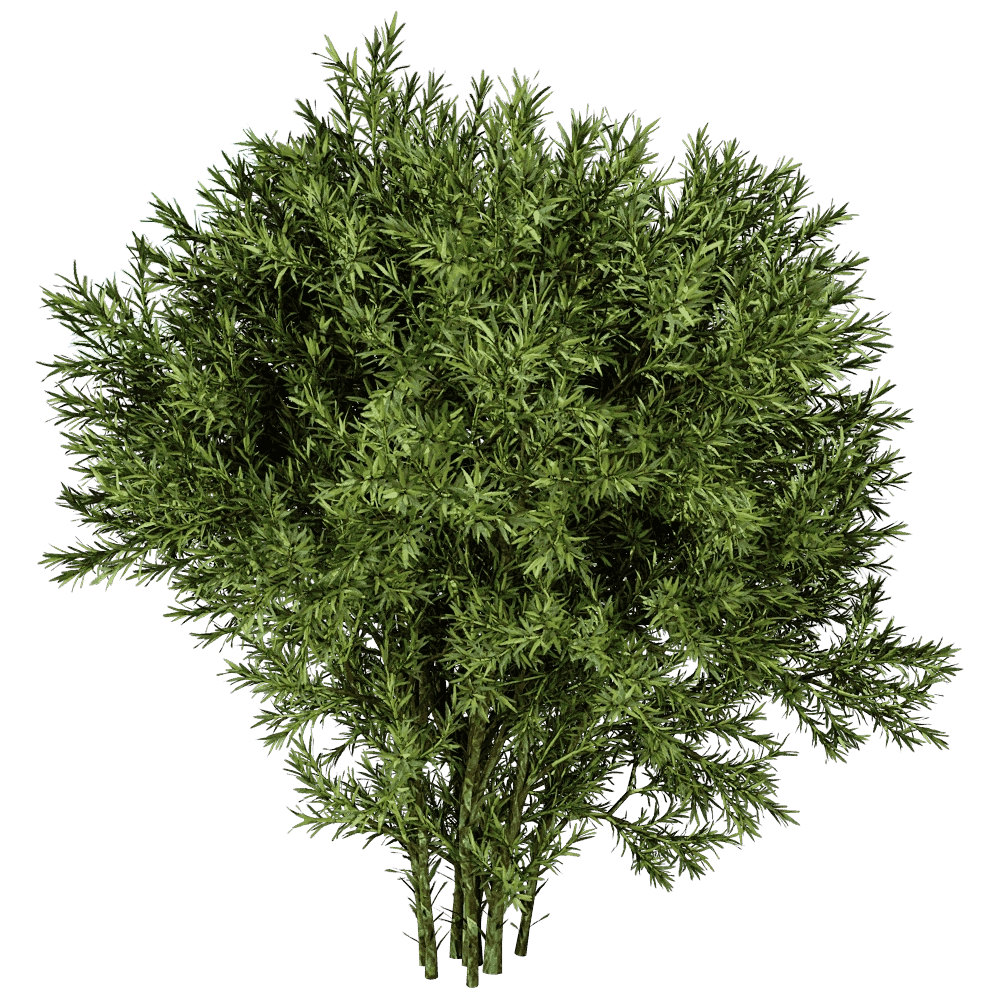 decoration - Sabina Pingii 01 02 3D Model