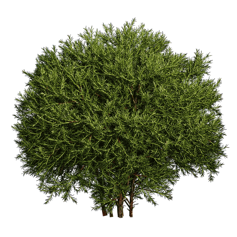 decoration - Sabina Pingii 01 03 3D Model